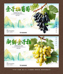 金手指葡萄