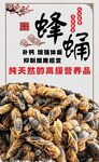 蜂蛹