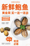 鲍鱼