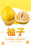 柚子