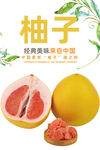 柚子