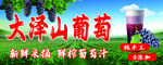  葡萄汁海报