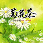 菊花茶包装
