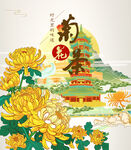 菊花茶包装
