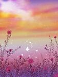 烂漫黄昏壁纸