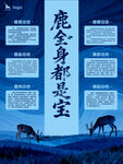 鹿全身是宝宣传海报