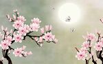 玉兰花
