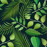 深绿背景下的繁茂叶片图案无缝