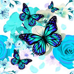 蓝蝶与玫瑰的梦幻组合