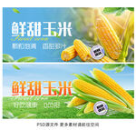 玉米