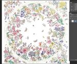多彩花卉鸟类圆形插画