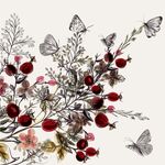 花卉蝴蝶图自然灵动之美