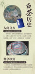 白茶历史