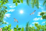 蓝天飞鸟间的热带风光