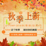 秋季上新