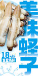  蛏子 