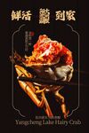 鲜活大闸蟹活动宣传海报