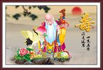 老寿星