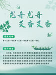 龙舟艾草传统端午元素展示海报