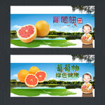 葡萄柚