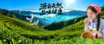 茶山