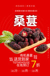 桑葚