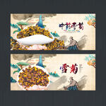 雪菊