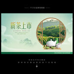 新茶上市