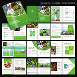 茶叶画册 采茶种茶宣传册