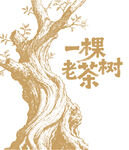 一棵老茶树插画图案