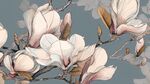 玉兰花枝插画