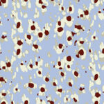 蓝底斑点图案纹理