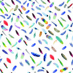 多彩羽毛图案背景