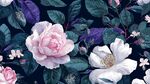 花卉图案 浪漫优雅植物世界