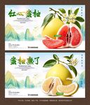蜜柚