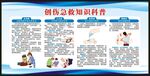急救日宣传栏