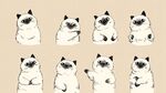 可爱猫咪多样表情插画