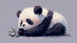 趴卧吃竹的可爱大熊猫