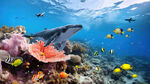 海底生物