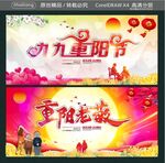 重阳老敬
