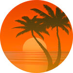 夕阳下的棕榈树海景