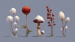 冬季植物与蘑菇梦幻组合