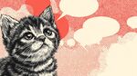 仰望的小猫咪