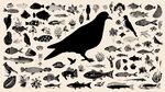 鸟与海洋生物的黑白插画