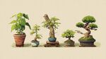 多样盆景展示