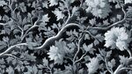 黑白花卉枝叶图案纹理