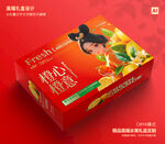 橙子包装 脐橙礼盒