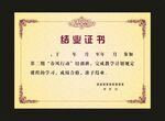 荣誉证书