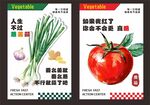 蔬菜海报设计  清新风格