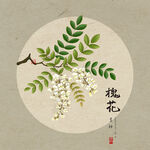 手绘槐花插画